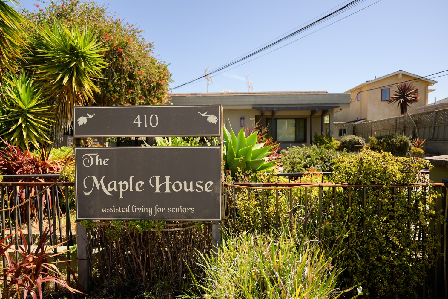 Mapple House 1