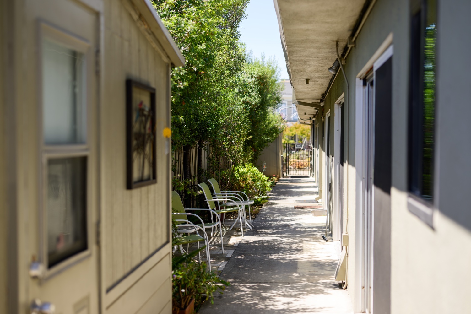 Mapple House 1