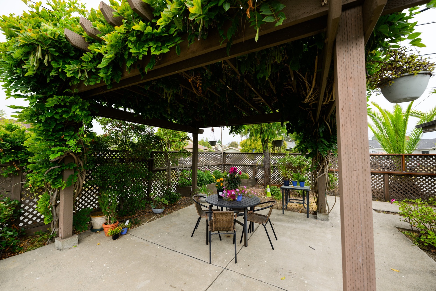 Mapple House 2